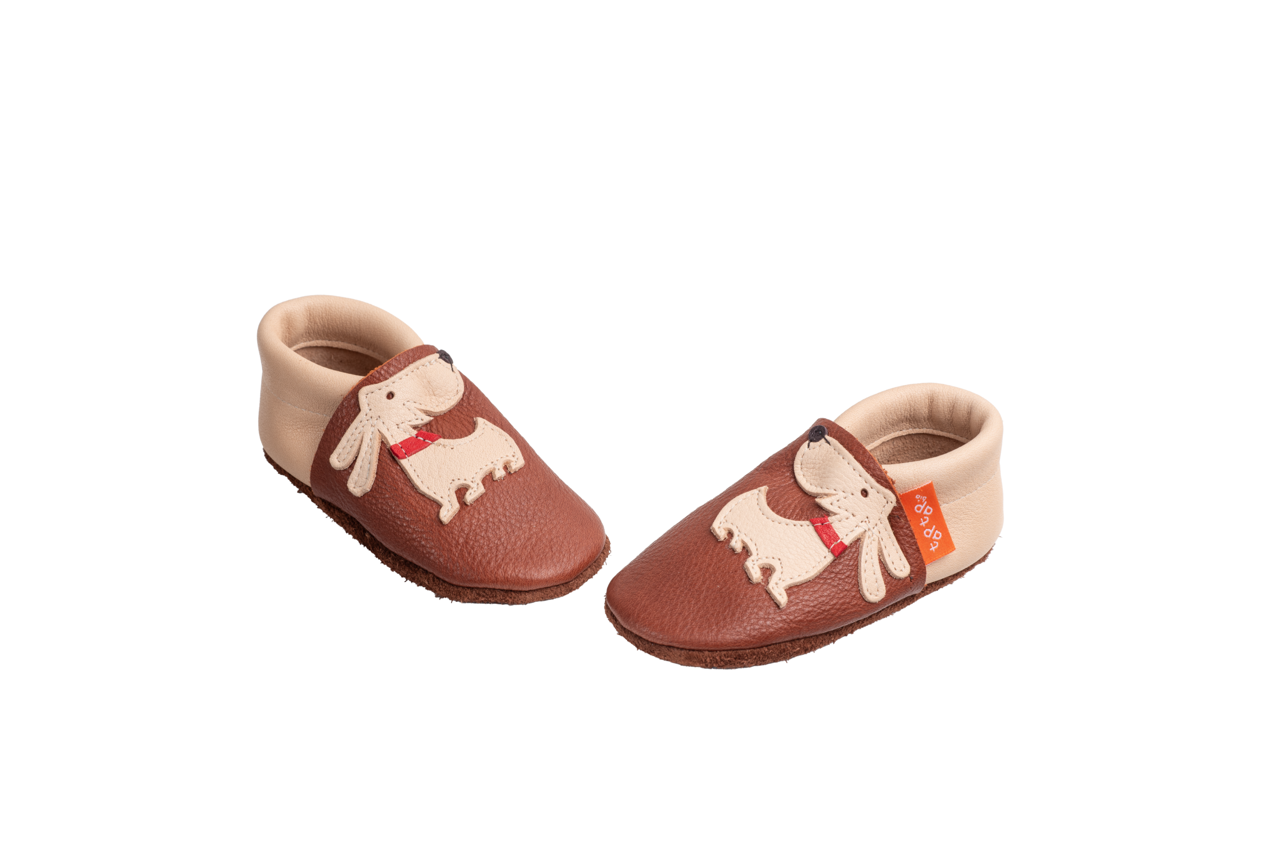 Hund sandbraun – Bild 2