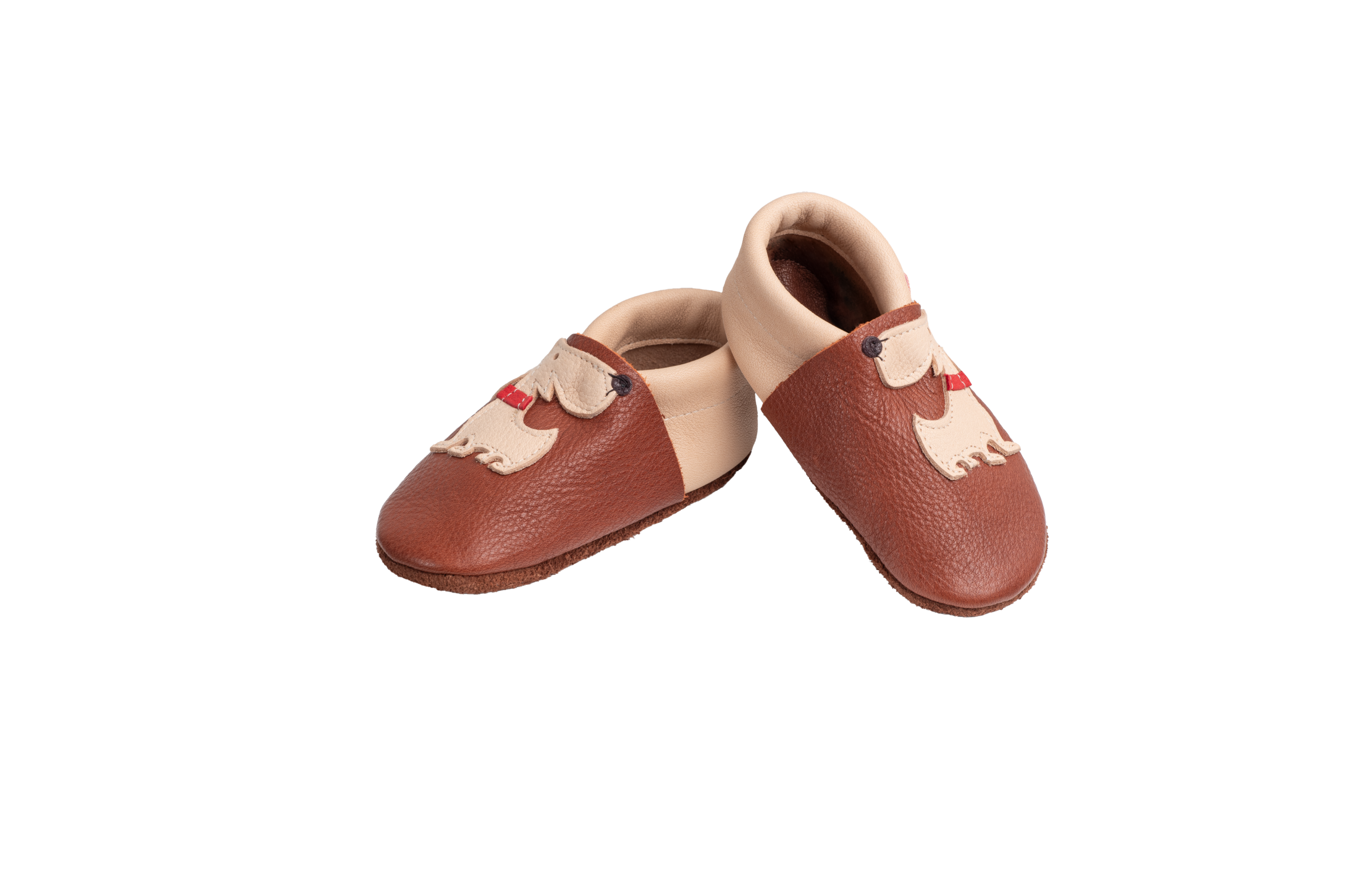 Hund sandbraun – Bild 3