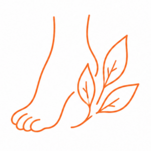 icon5